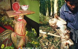 Những thú ăn chơi quái đản của đại gia Việt 