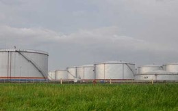 Doanh nghiệp xăng dầu kiếm lời nhờ tạm nhập mà không tái xuất