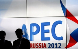 'Việt Nam vẫn hấp dẫn nhà đầu tư APEC'