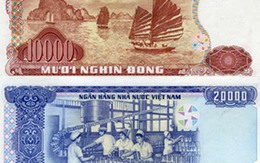 Năm 2013 dừng lưu hành tiền giấy 10.000 và 20.000 đồng