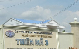 Đại gia thủy sản miền Tây vỡ nợ gần 600 tỷ đồng