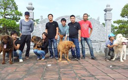 Ngỡ ngàng trại chó "triệu đô" của "đại gia 8X" đất Quảng