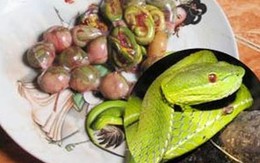 Món ăn bệnh hoạn của đại gia Việt