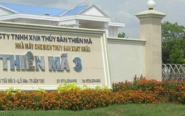 Đại gia vỡ nợ, 700 công nhân ra đường