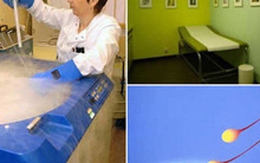 Bí ẩn ở ngân hàng tinh trùng lớn nhất thế giới