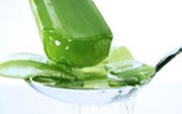 Uống nước nha đam và mật ong làm đẹp da?