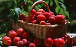 8 loại thực phẩm dinh dưỡng cho sức khỏe