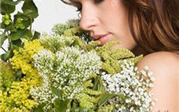 Những hóa chất đe dọa sức khỏe "vùng kín"