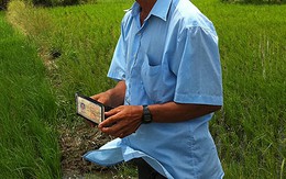 Đại gia chạy án từng chuyển tiền cho “quan” VKS Long An