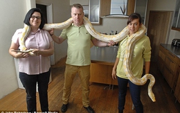 Đại gia đình sống chung với chú trăn dài 5,2m