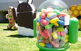 Một loạt smartphone của Samsung được nâng cấp lên Android Jelly Bean 4.1