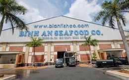 Thêm 2 ngân hàng cứu công ty nữ đại gia Diệu Hiền