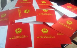 Vụ “đại gia” sang nhượng hơn 100 ha đất: Có dấu hiệu lách luật, đầu tư “chui”