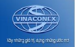 Thêm một Vina nợ ngân hàng nghìn tỷ