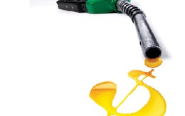 Doanh nghiệp xăng dầu đang lãi 1.700 đồng/lít