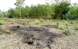 Nghệ An: Một thanh niên mang xăng lên núi tự thiêu