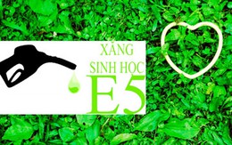 Dự kiến từ 1/12/2013 bắt buộc sử dụng xăng sinh học E5