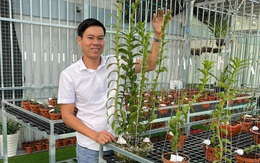 Hồng Quân: Từ cú lừa của lan đột biến đến gia tài 20 chủng lan khác nhau