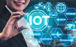 Levu Media - Mảnh đất sinh lời màu mỡ cho các nhà đầu tư thời kỳ công nghệ