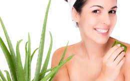 Làm đẹp với cây lô hội