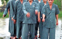 Đại gia nhập viện tâm thần vì mất của