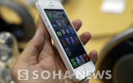 Viettel chính thức bán iPhone 5 và giảm giá iPhone 4/4s