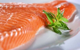 Cá - thần dược cho sức khỏe