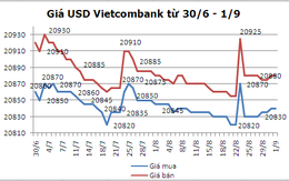 Giá bán USD ngân hàng tuần qua ổn định ở 20.880 đồng