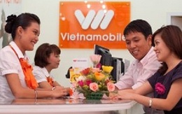 Sẽ phạm luật nếu Viettel sáp nhập EVN Telecom?