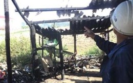 Điểm tin trưa: Điên cuồng tẩm xăng thiêu sống vợ vì mất con gà chọi