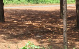 Điểm tin sáng: Mua 15.000 xăng thiêu sống người yêu 15 tuổi vì ghen