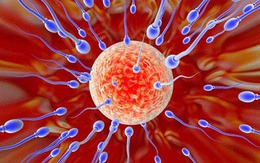 Nuốt tinh dịch có hại cho sức khỏe không? 