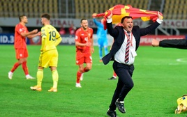 Lộ diện HLV đầu tiên từ chức tại Euro 2021
