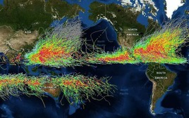 Hiệu ứng Coriolis: Vì sao các cơn bão không bao giờ vượt qua được đường xích đạo?