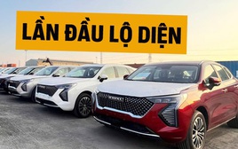 Lô Haval Jolion đầu tiên cập cảng Việt Nam: 2 phiên bản phân biệt được từ ngoại hình, có điểm khác bản Thái, dễ ra mắt tháng này đấu Corolla Cross