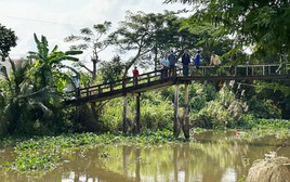 Truy bắt cá sấu nổi trên sông Bằng Lăng, Long An