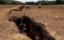 Tại sao lục địa Châu Phi đang bị chia tách thành hai: Giải mã bí mật địa chất âm ỉ suốt hàng chục triệu năm