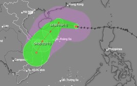 Bão số 7 duy trì cấp 14 trên Biển Đông, hướng về vùng biển Quảng Trị-Quảng Ngãi