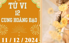 Tử vi 12 cung hoàng đạo ngày 11/12: Kim Ngưu may mắn, Bọ Cạp ổn định