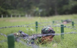 Bộ đội trinh sát vượt tường cao, luồn qua hàng rào gai rèn luyện 'tinh thần thép'