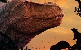 Hóa ra động vật có vú hiện đại bị 'mù màu' đều là do khủng long bạo chúa Tyrannosaurus rex?