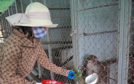 Bảo vệ động vật hoang dã trên dãy Trường Sơn: Thăm nhà tái sinh