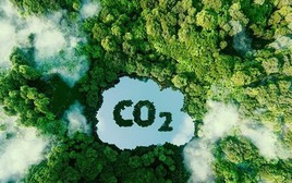 Lộ trình để Việt Nam bán tín chỉ carbon ra thế giới