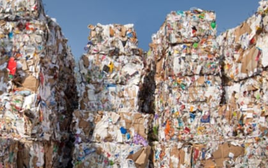 3 ý tưởng tái chế giấy phế liệu giúp bảo vệ môi trường