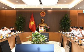 Phó Thủ tướng Lê Minh Khái: Chậm nhất 17/5 công bố quyết định thanh tra thị trường vàng