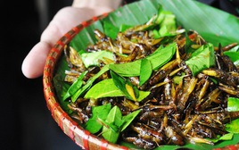 1 món ăn "đặc sản" vào mùa: Người Việt mê tít nhưng tiềm ẩn nguy cơ bệnh tật, có thể gây tử vong