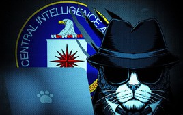 Huấn luyện điệp viên mèo: Thất bại trị giá 20 triệu USD của CIA