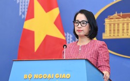 Việt Nam hoan nghênh Bộ Thương mại Mỹ điều trần về công nhận quy chế kinh tế thị trường cho Việt Nam