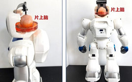 Trung Quốc tạo ra robot có não làm từ tế bào gốc con người