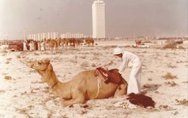 Hành trình có 1-0-2 của "người chép sử bằng hình ảnh" trên đất UAE: Thế giới sẽ kinh ngạc khi biết siêu đô thị từng có thời hoang sơ đến thế